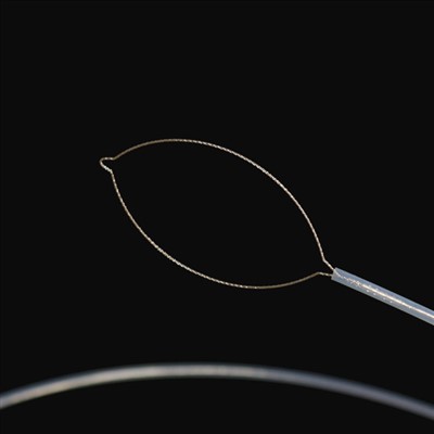 Forceps trupi i huaj i llojit të nofullës