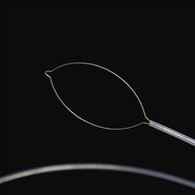 Forceps trupi i huaj i llojit të nofullës